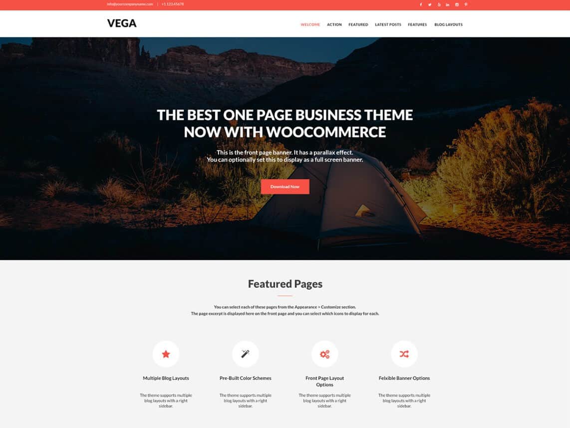 templates wordpress