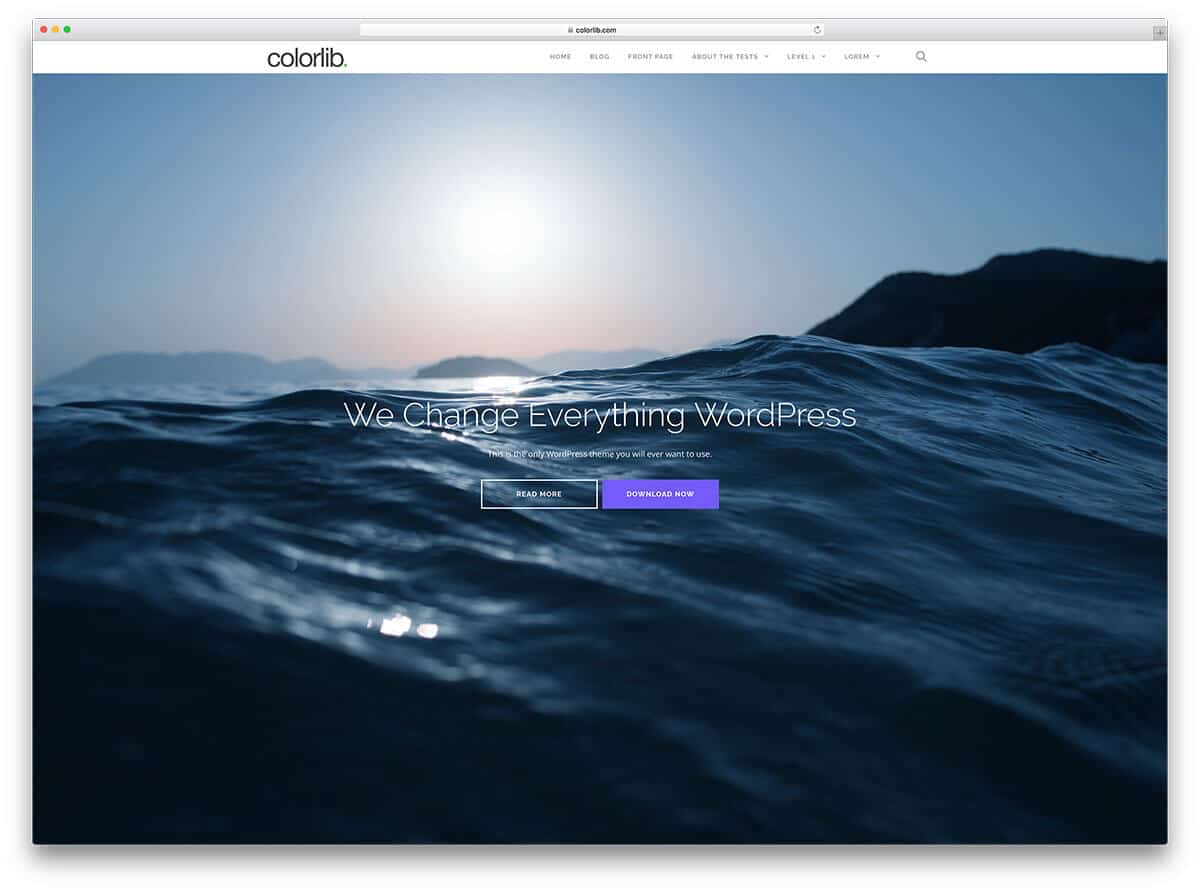 templates wordpress