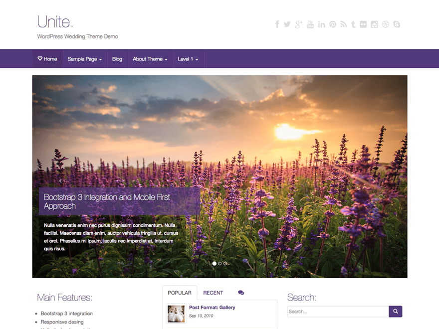 templates wordpress
