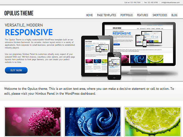 templates wordpress