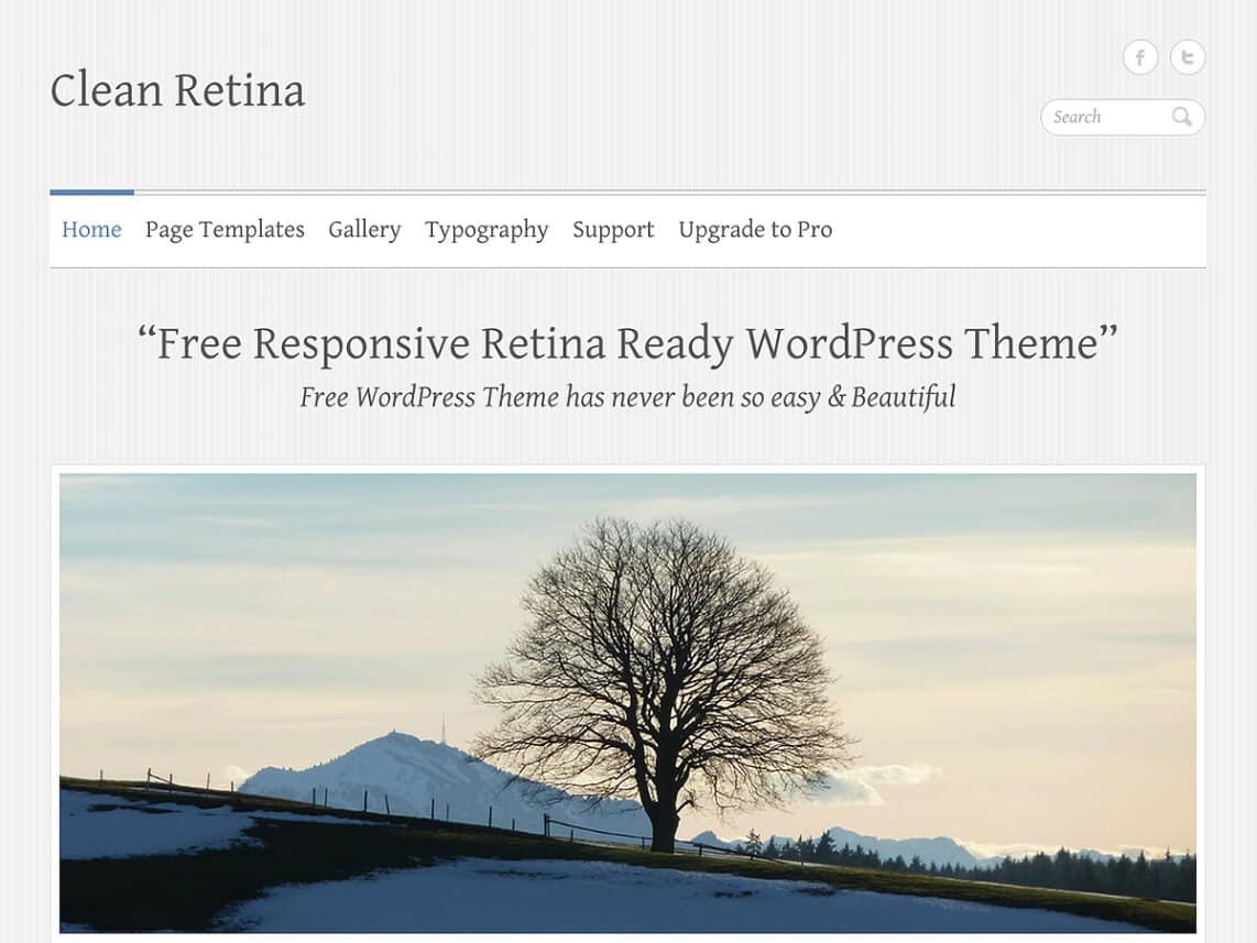 templates wordpress