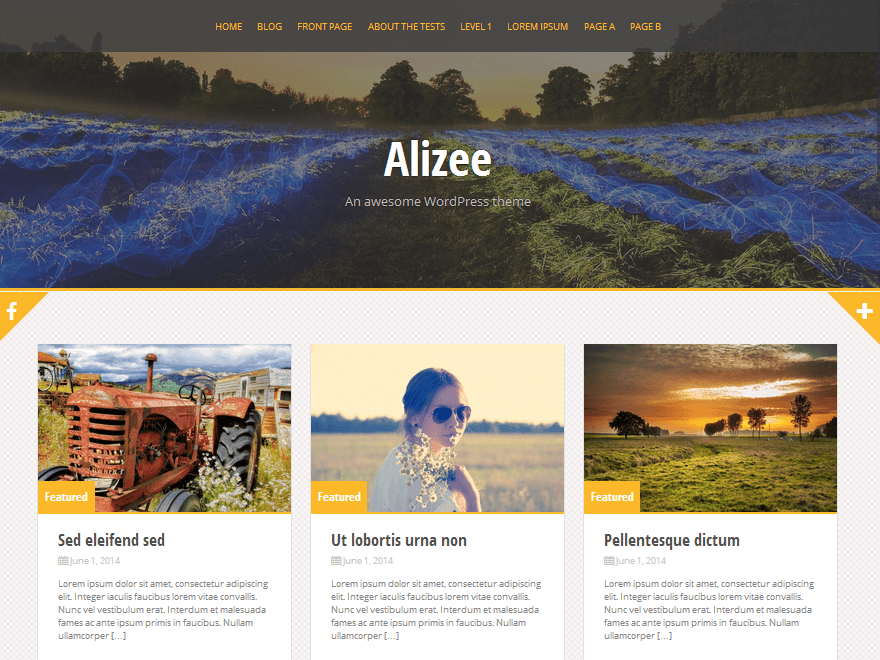 templates wordpress